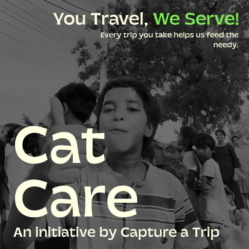 Cat care