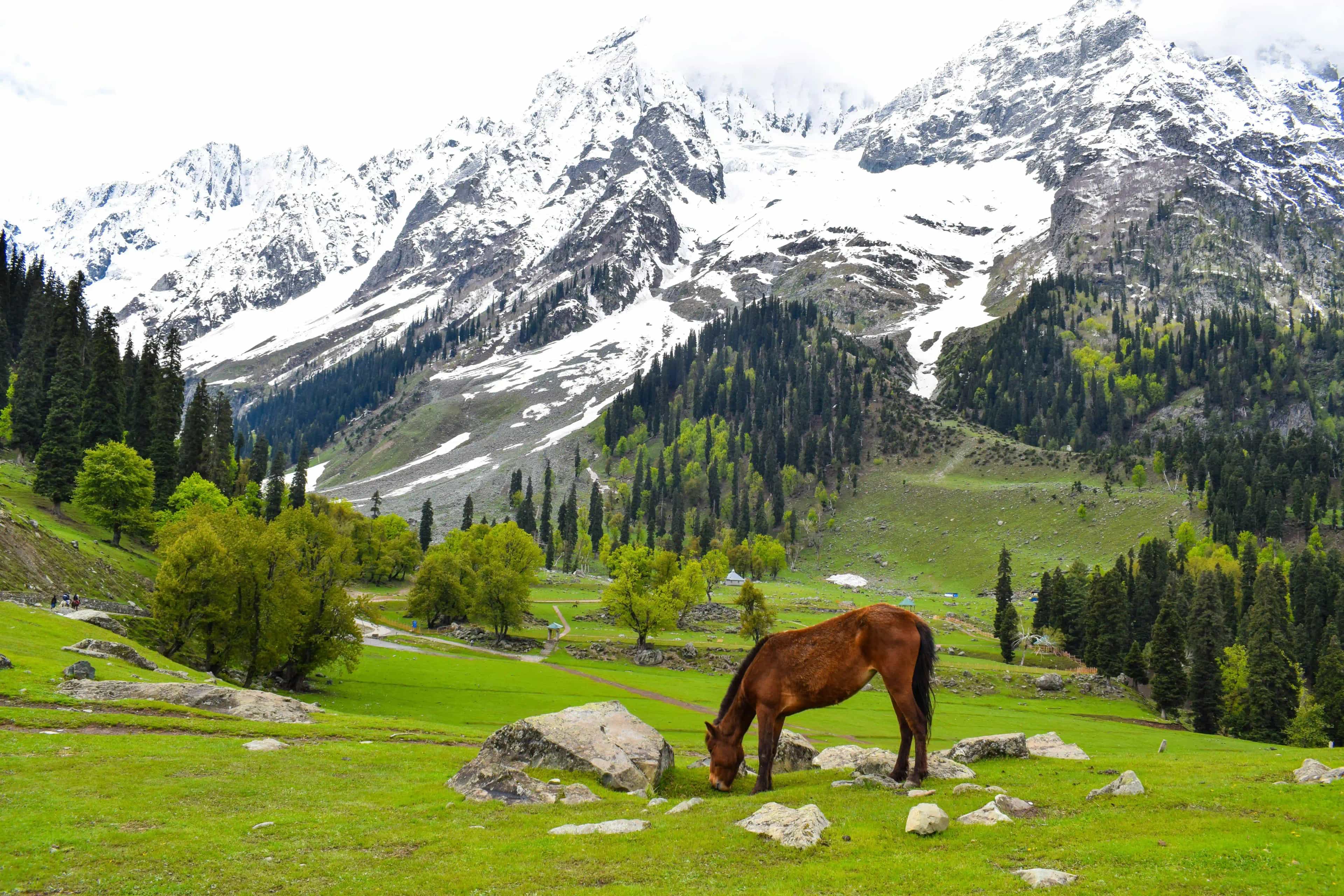 Things to Do in Kashmir