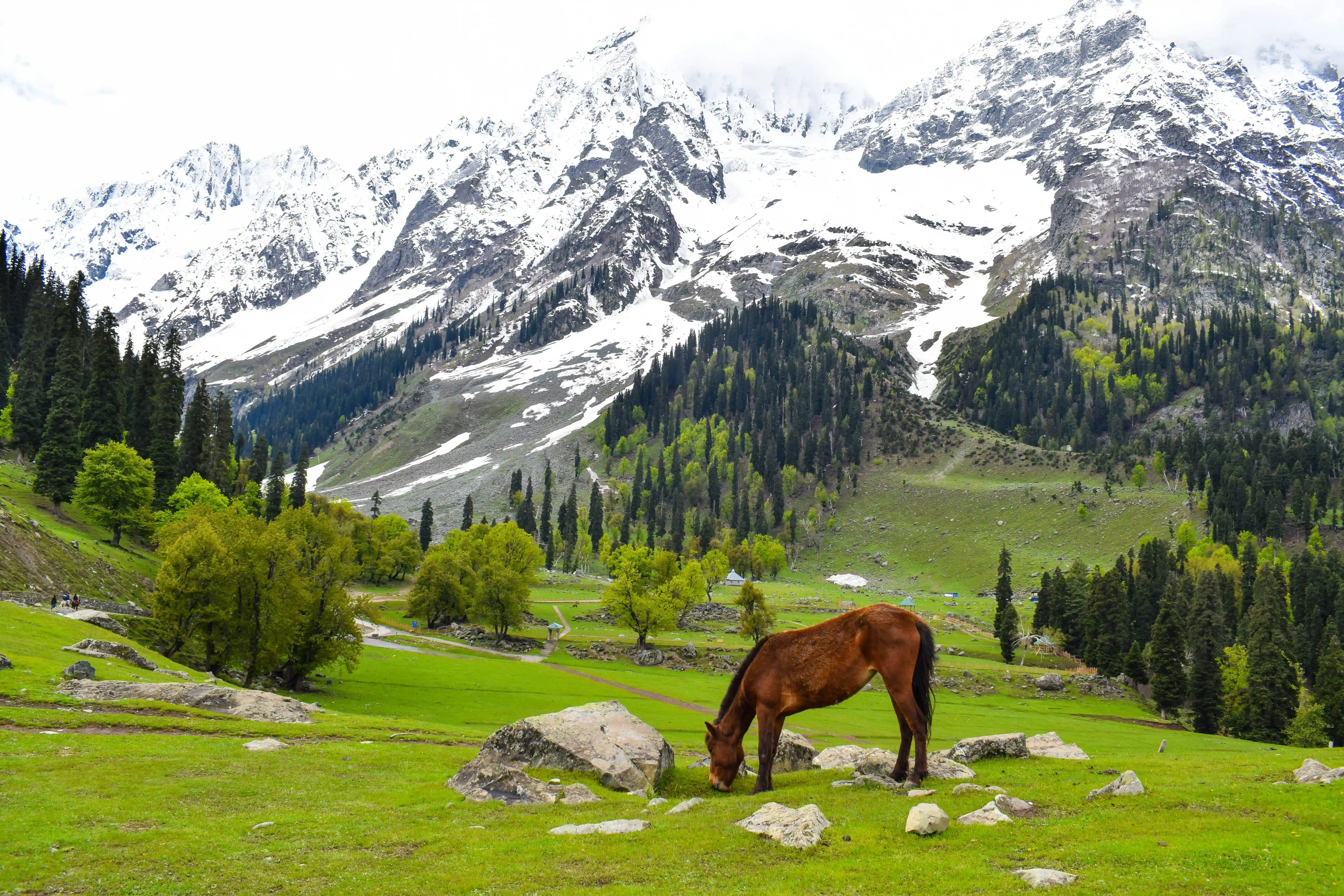 Things to Do in Kashmir