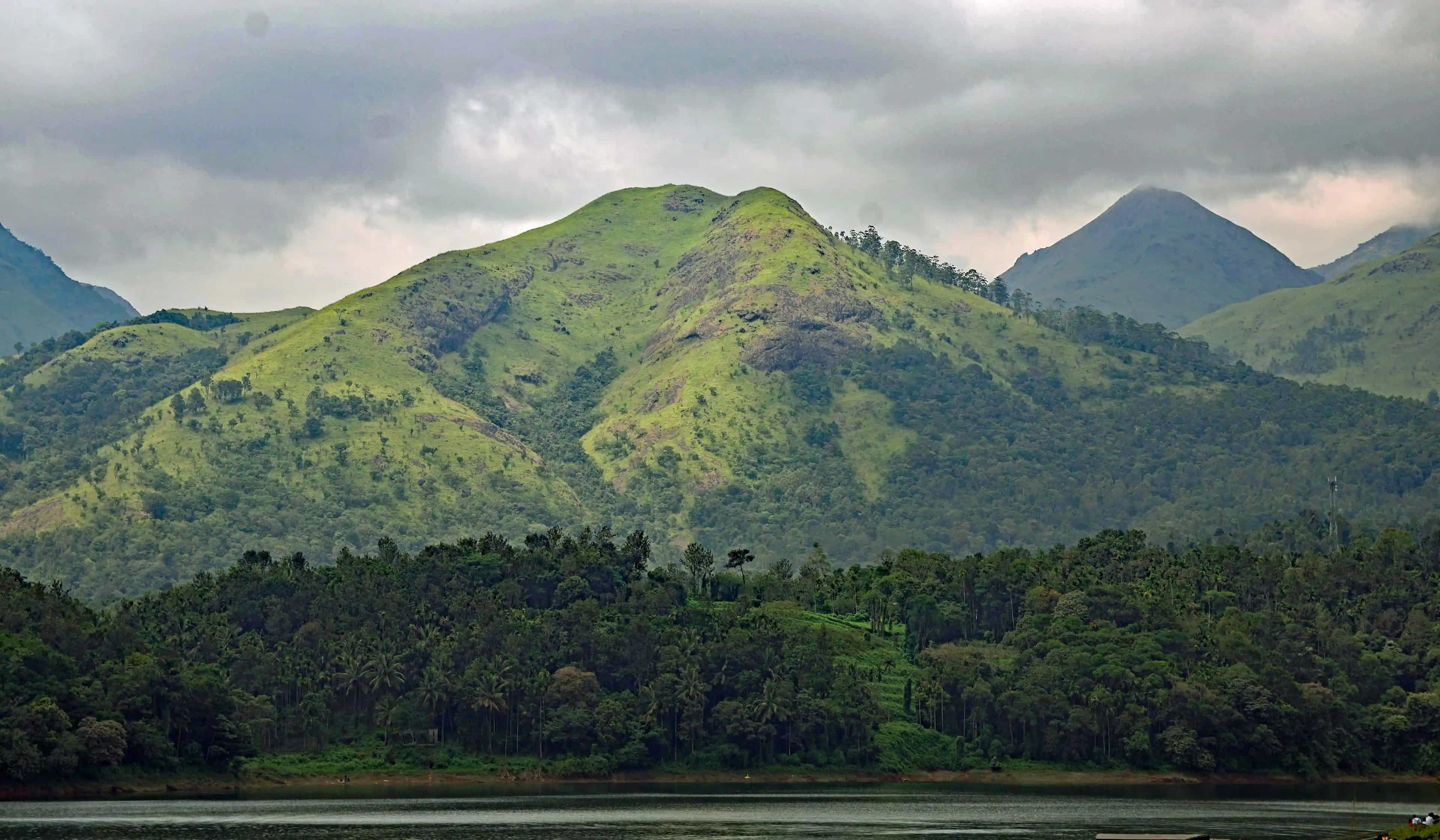 Best Time to Visit Wayanad