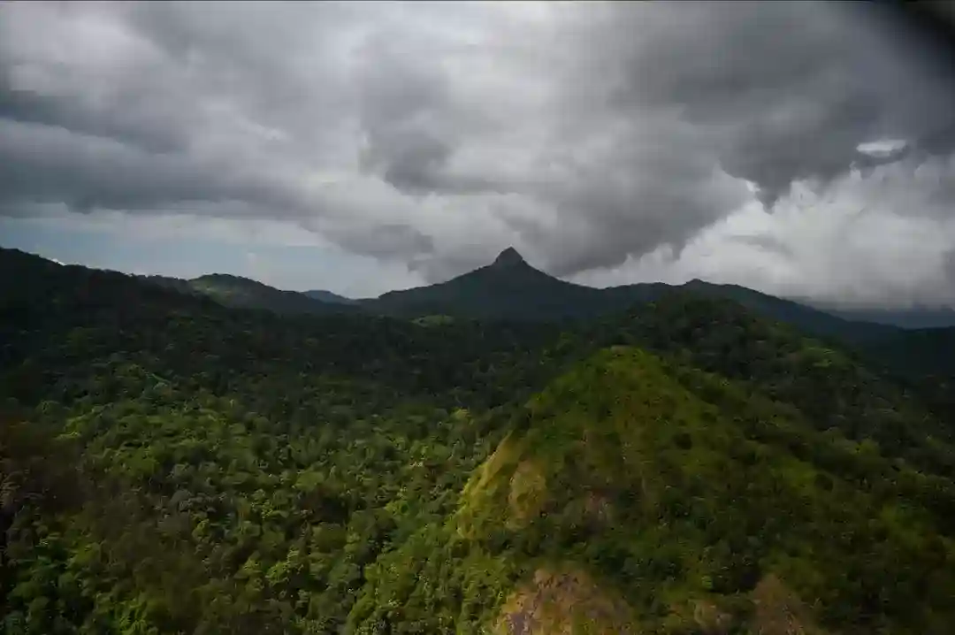 Silent Valley National Park