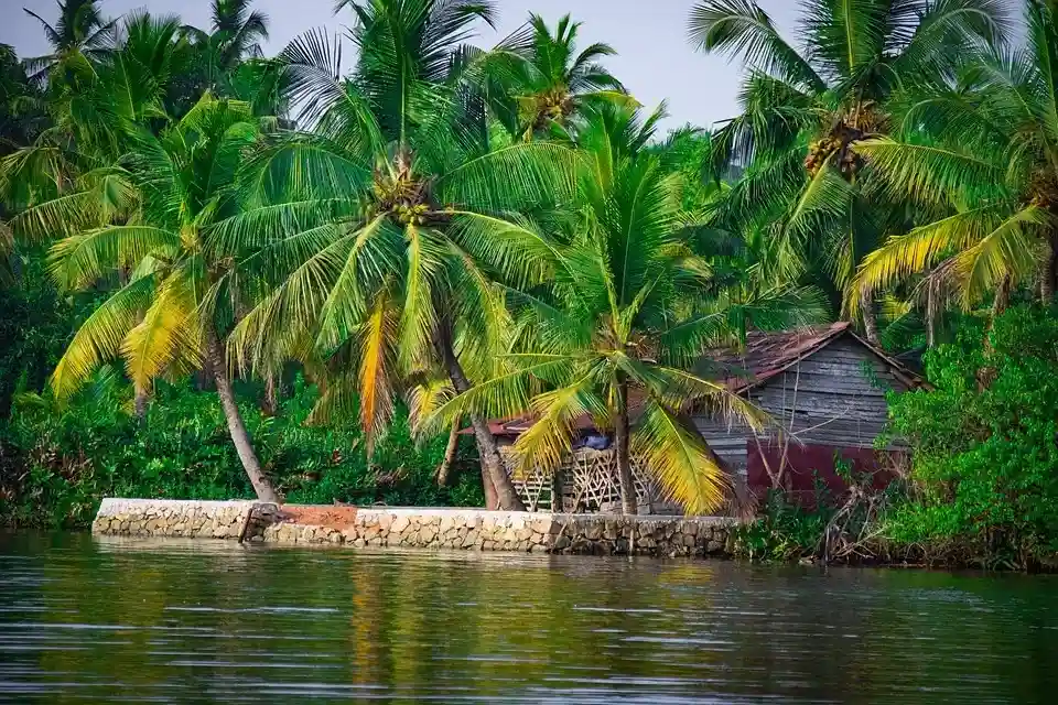 Things to Do in Kozhikode