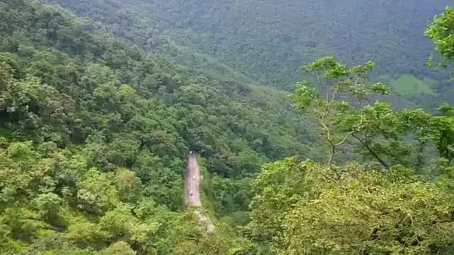 Things to Do in Wayanad