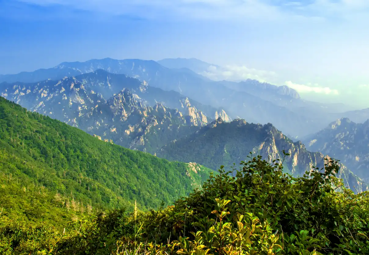 Manali Sissu Kasol - 3N/4D Package