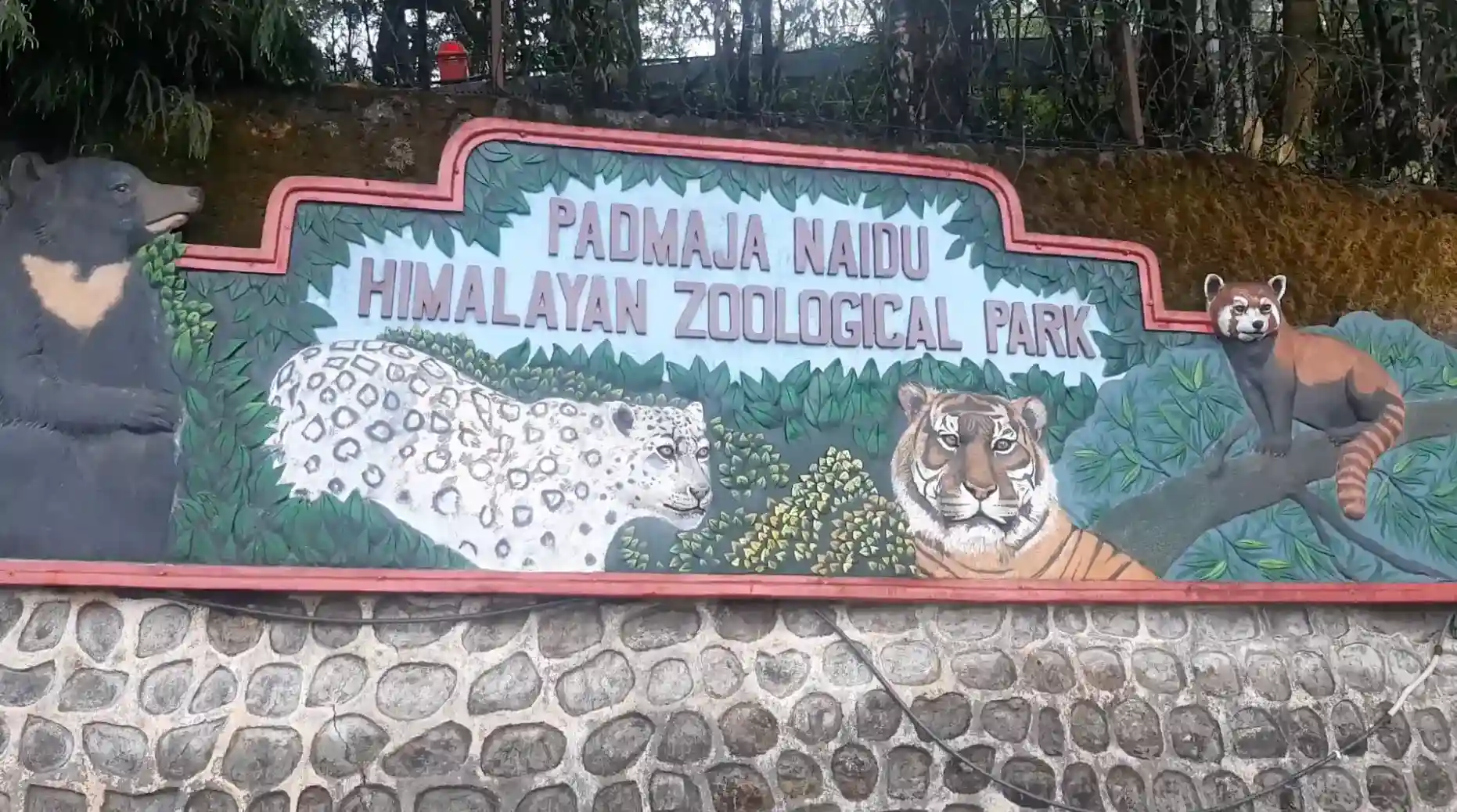 Padmaja Naidu Himalayan Zoological Park